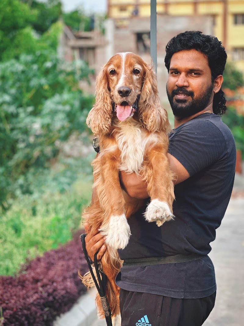 IK K-9 Dog Trainer and Behaviourist-CBE. — Photo 3