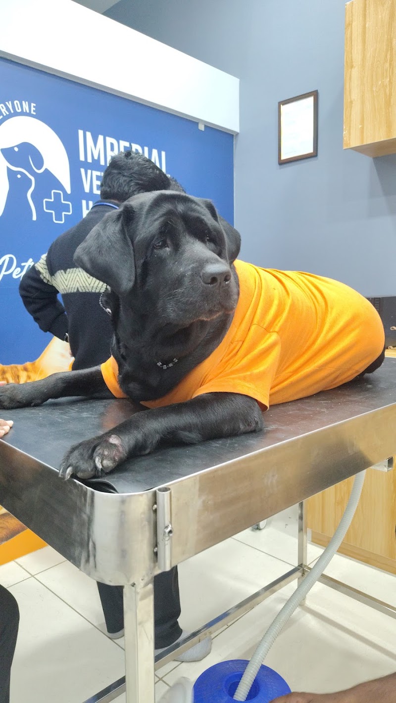 Imperial Veterinary Hospital