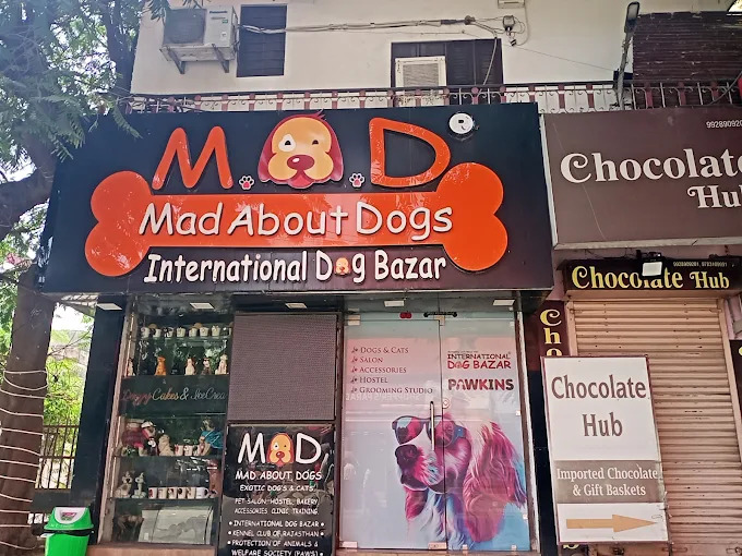 International Dog Bazar C scheme