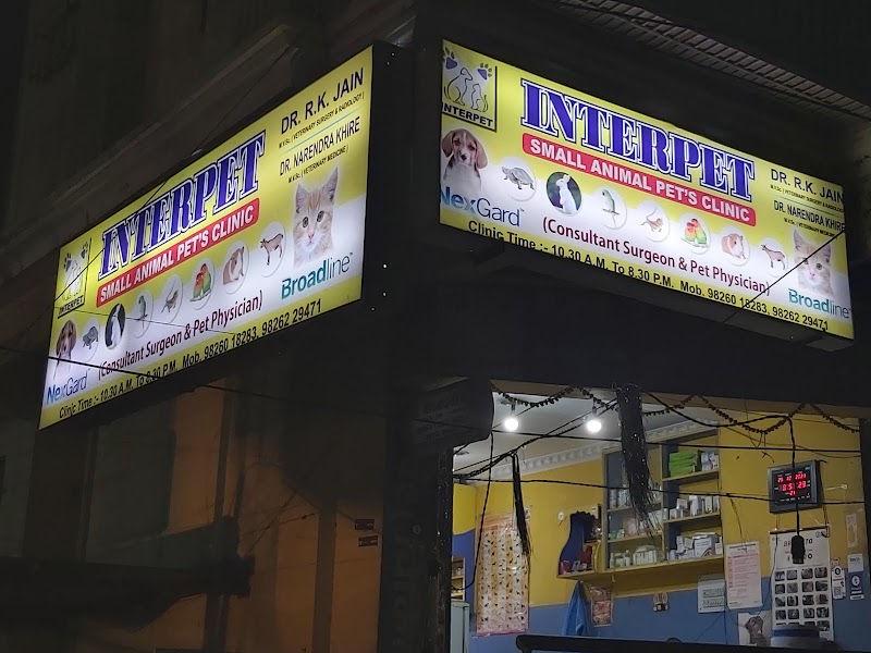 Interpet The Pet's Clinic | Best Pet Clinic in Indore — Photo 3