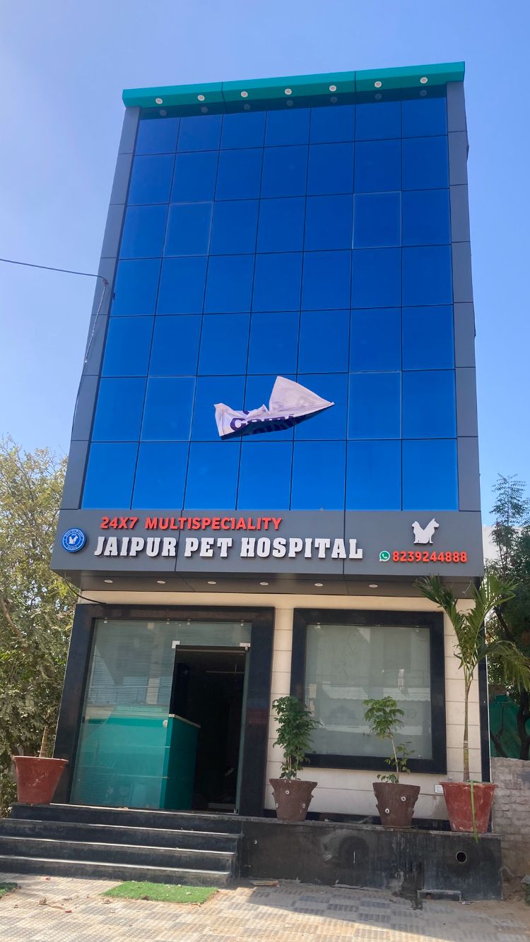 Jaipur Pet Hospital
