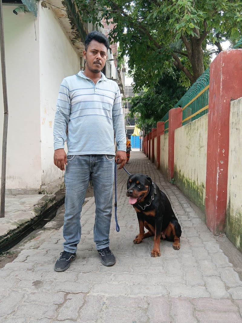 Jay Dog Behaviourist — Photo 3