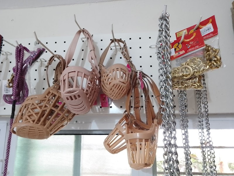 JEFpets, Pet food and accessories — Photo 3