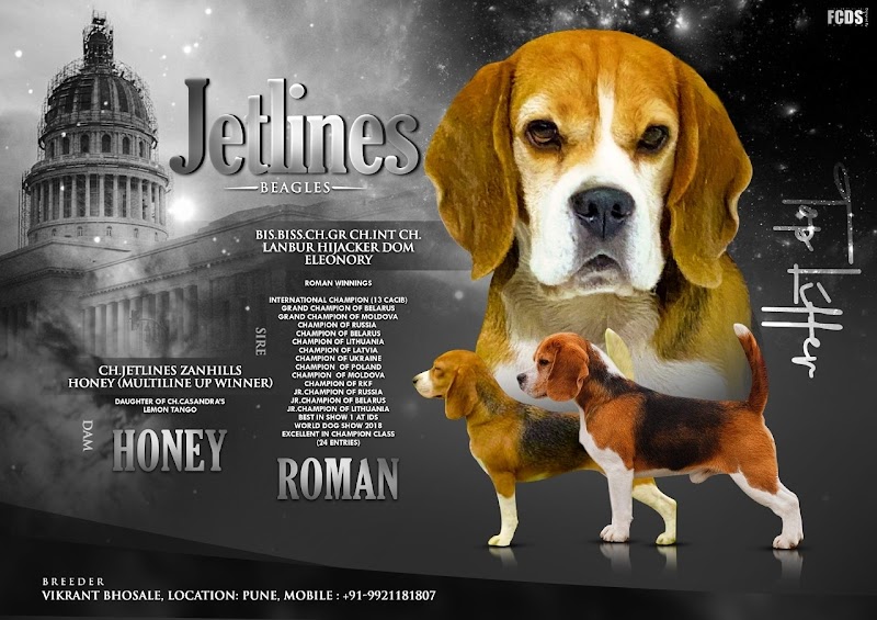Jetlines Kennel ( Pet Shop / pet boarding/ Dog hostel /Cat hostel )