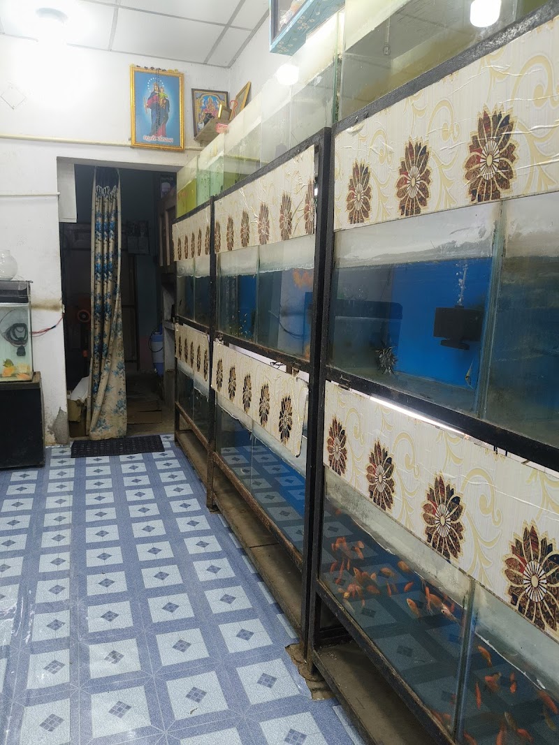 JM PETS & FISH AQUARIUMS — Photo 2
