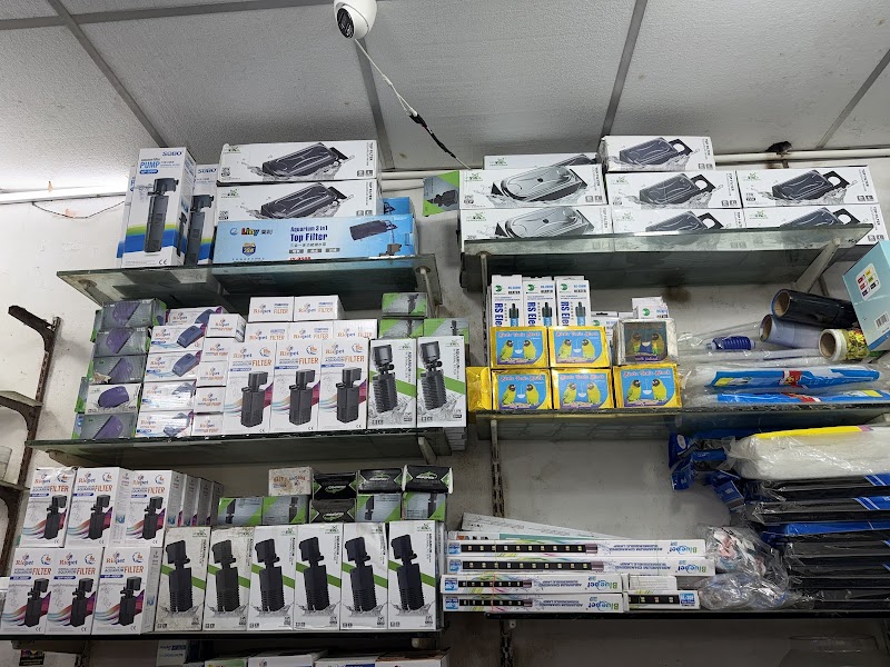 JM PETS & FISH AQUARIUMS — Photo 3