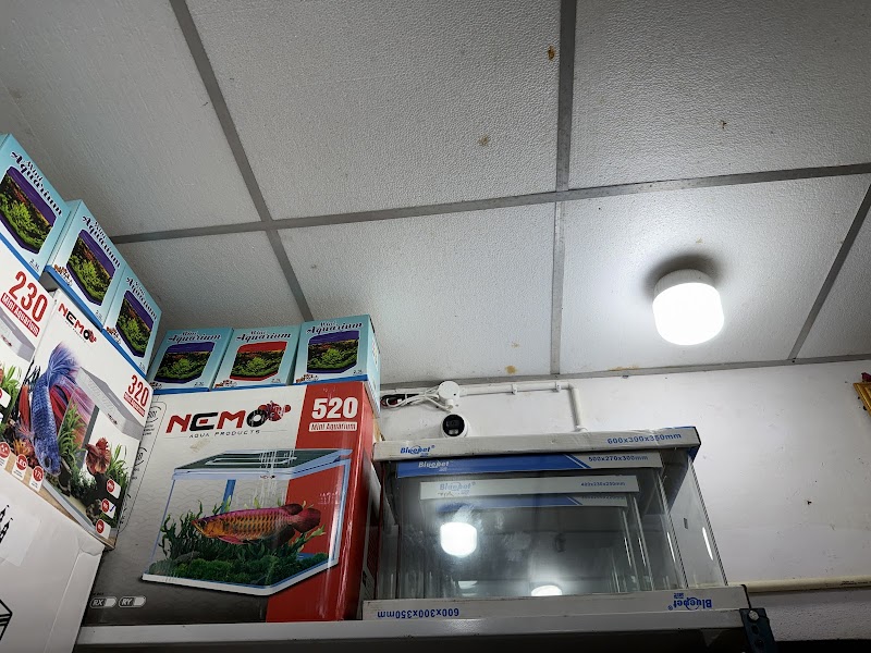 JM PETS & FISH AQUARIUMS — Photo 4