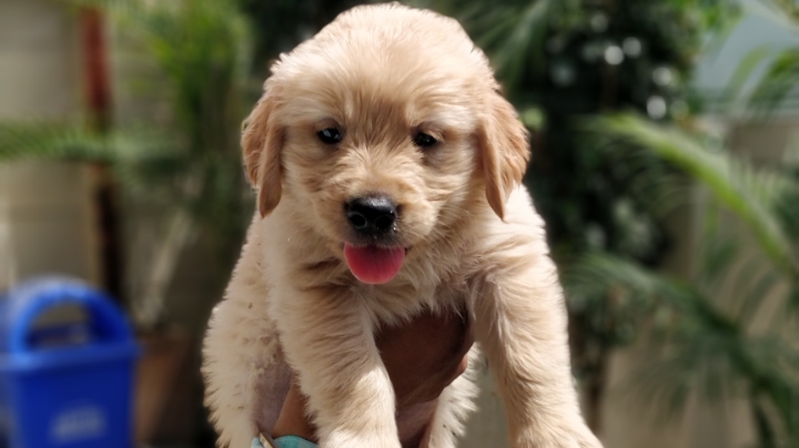 John Pet World — Photo 2