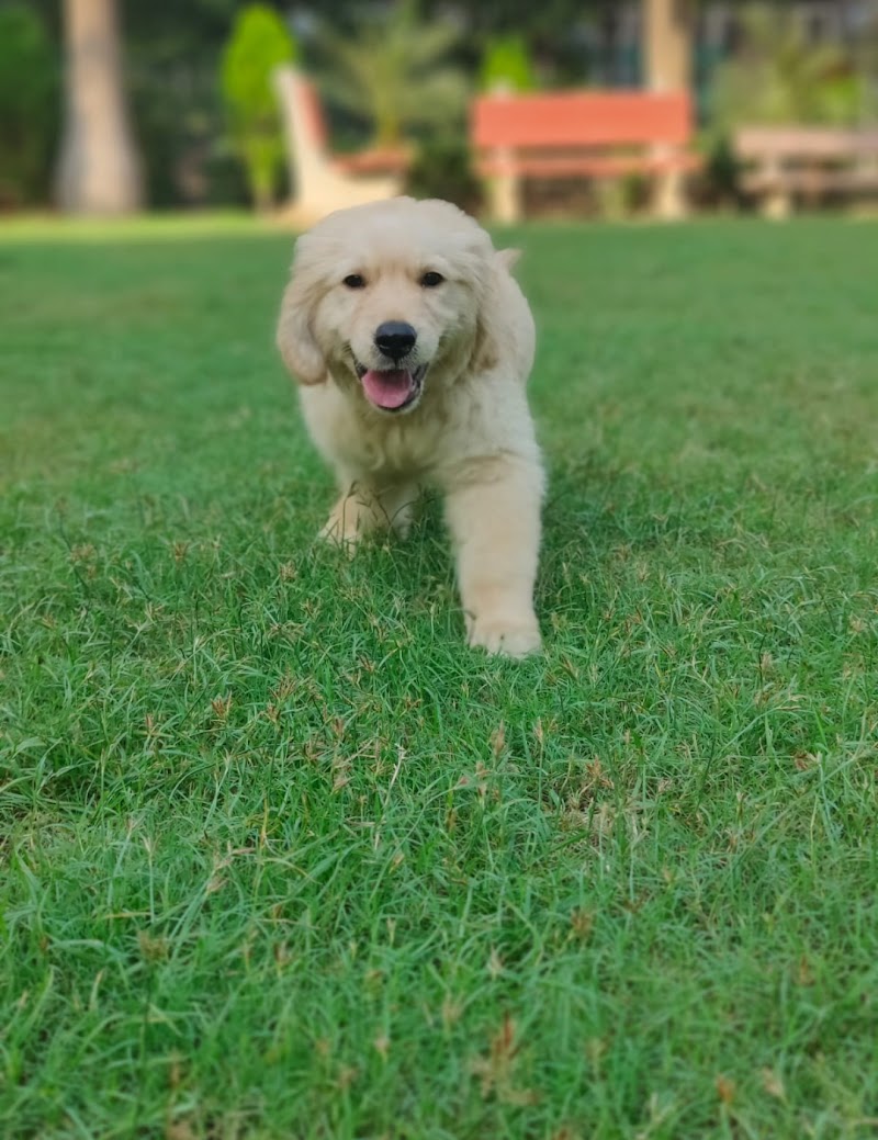 John Pet World — Photo 3