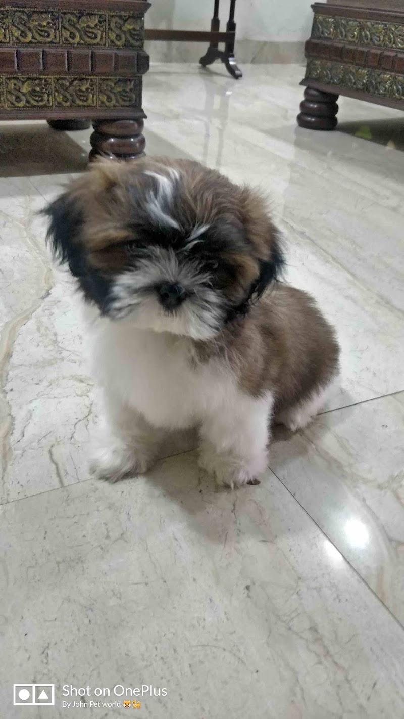 John Pet World — Photo 4