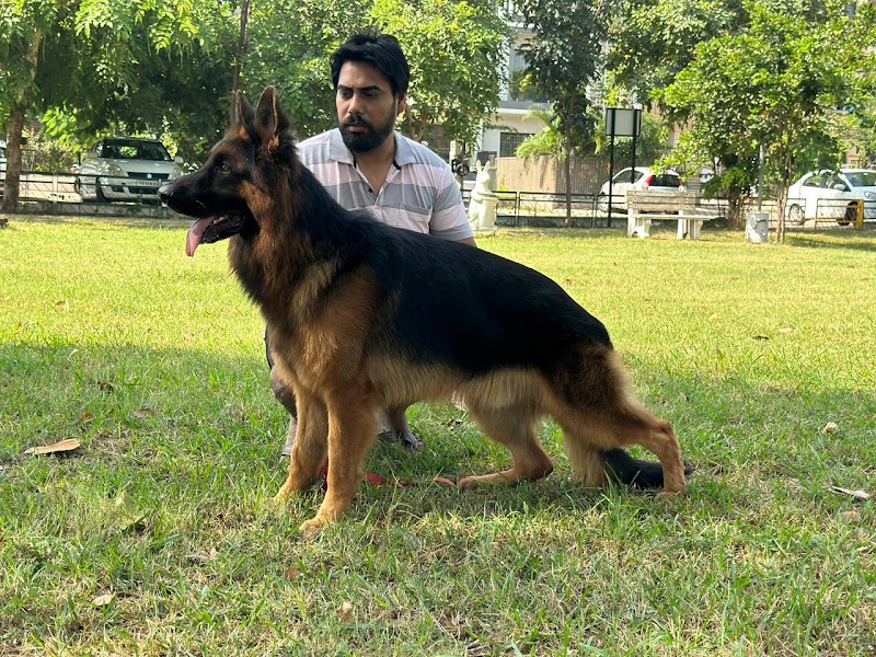 Josan dog training centre