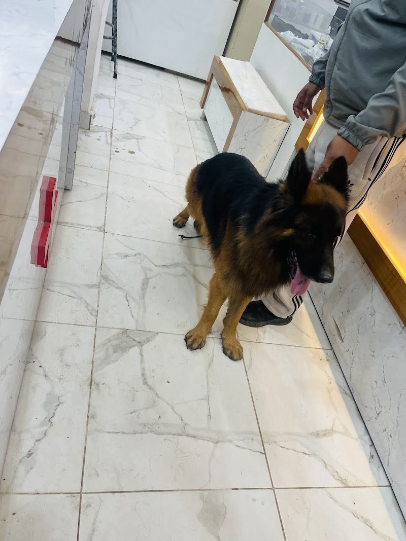 Josan dog training centre — Photo 4