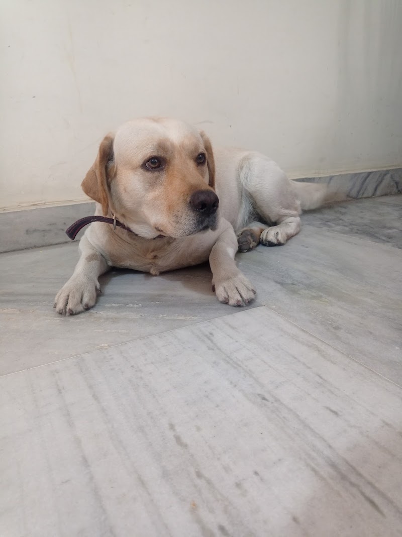 JP Pet Clinic — Photo 3