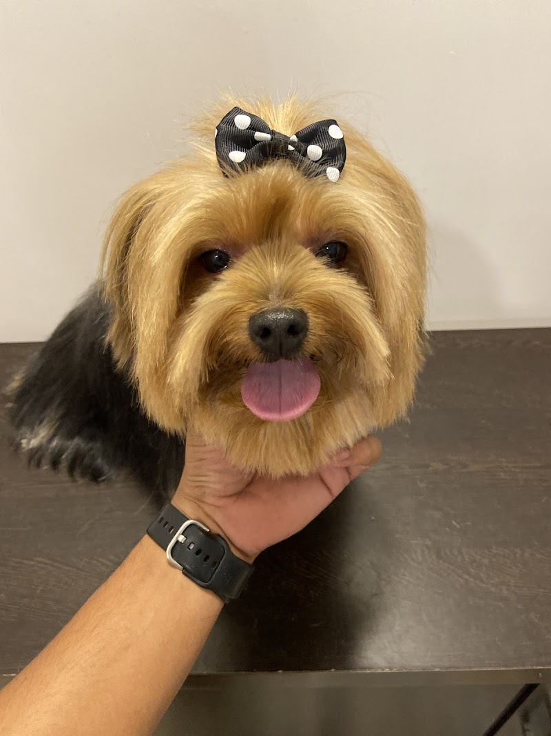 Just Pets — Photo 2