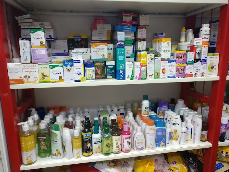 JUST PETS — Photo 4