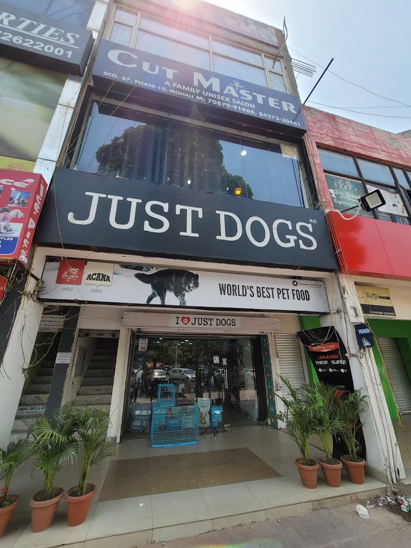 JUSTDOGS | Mohali, Punjab