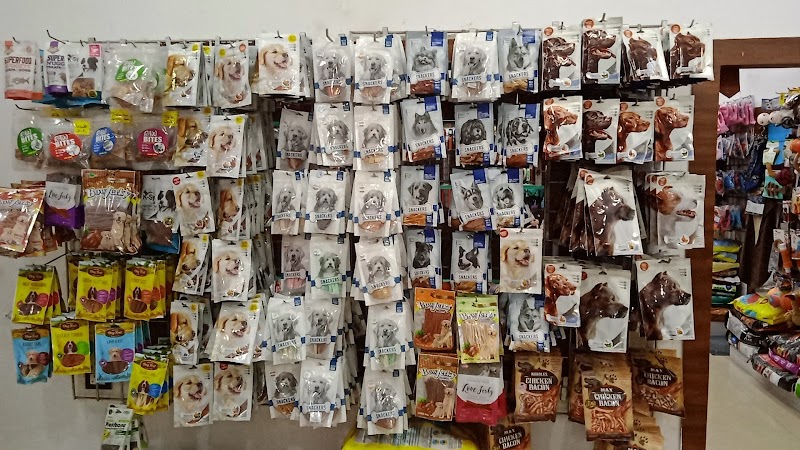 JUSTDOGS — Photo 2