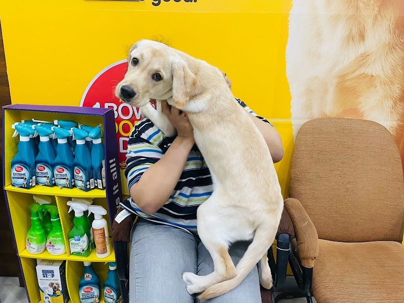 JUSTDOGS — Photo 4