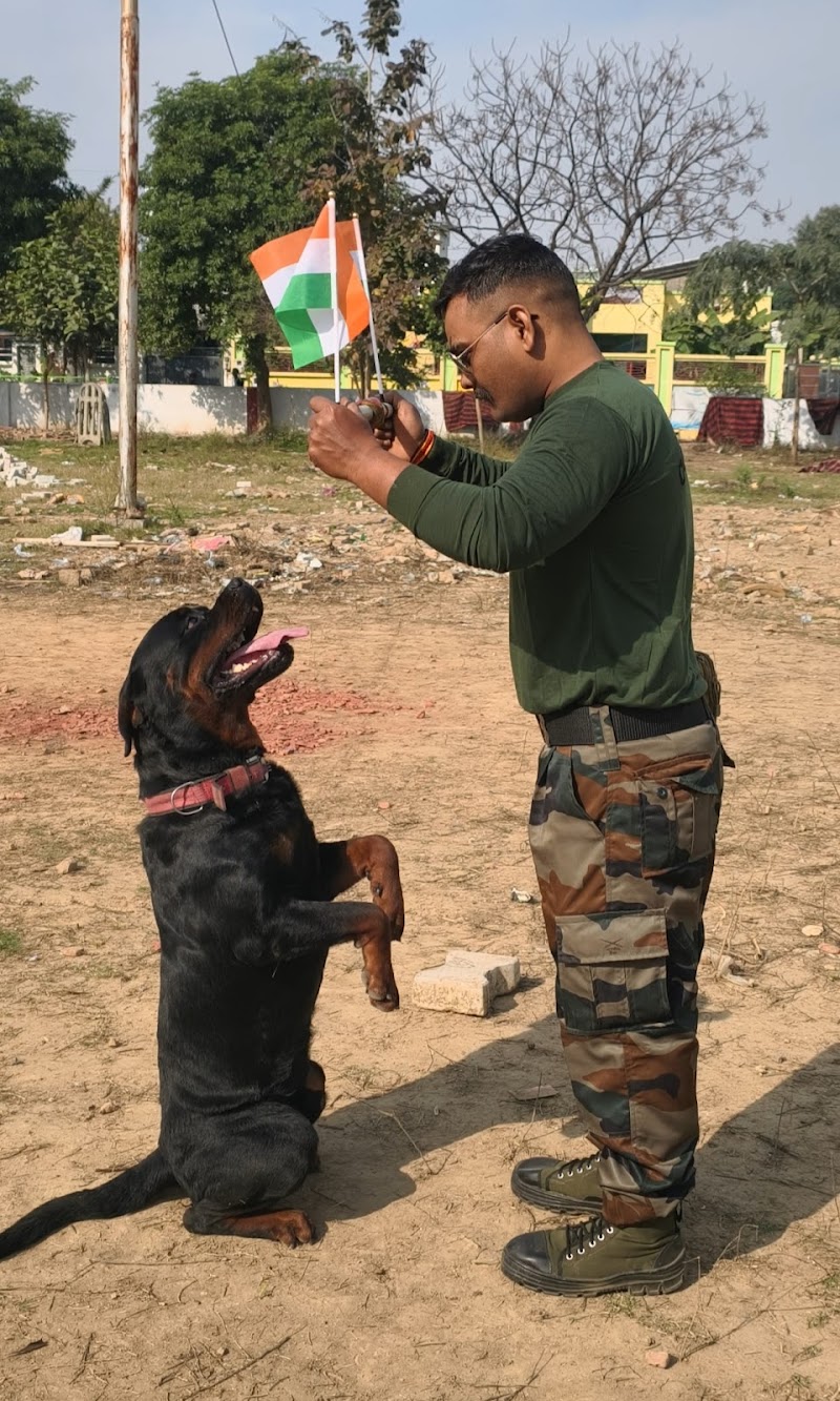 K9 dog daddy dog trainer army agra