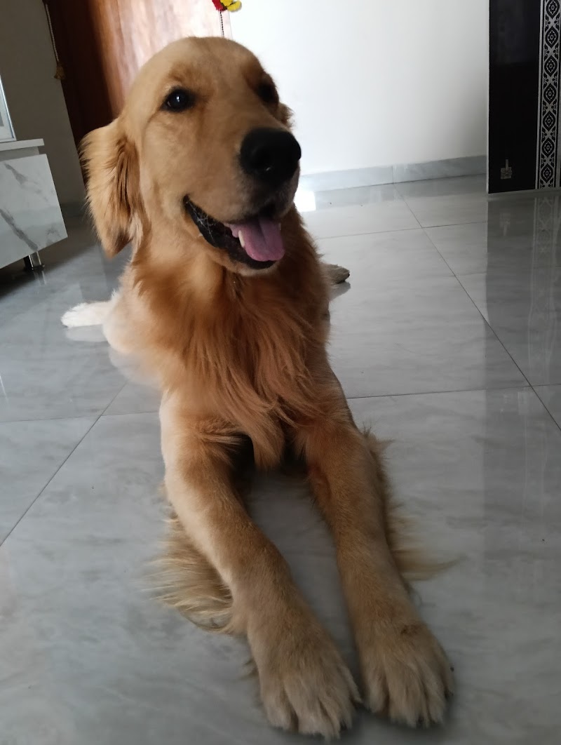 K9 Dog Trainer Jatinder Singh