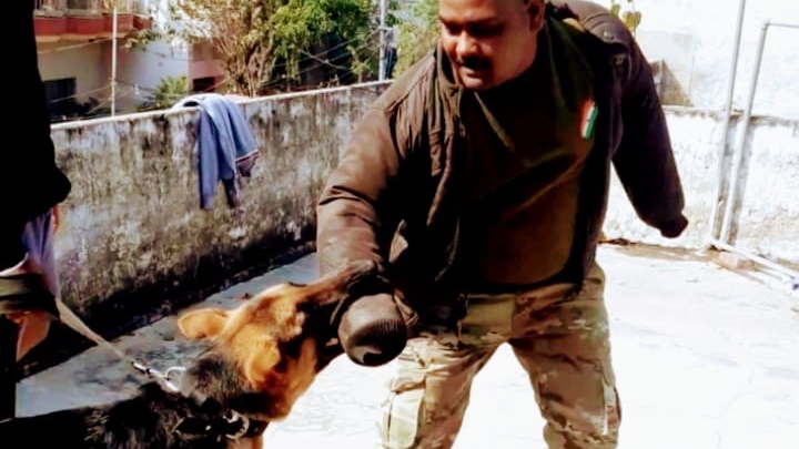 K9 YADAV DOG TRAINER CENTRE