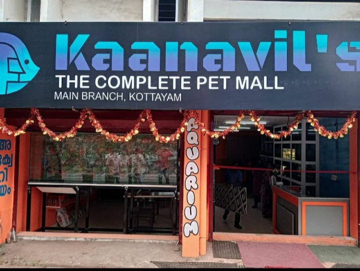 KAANAVILS