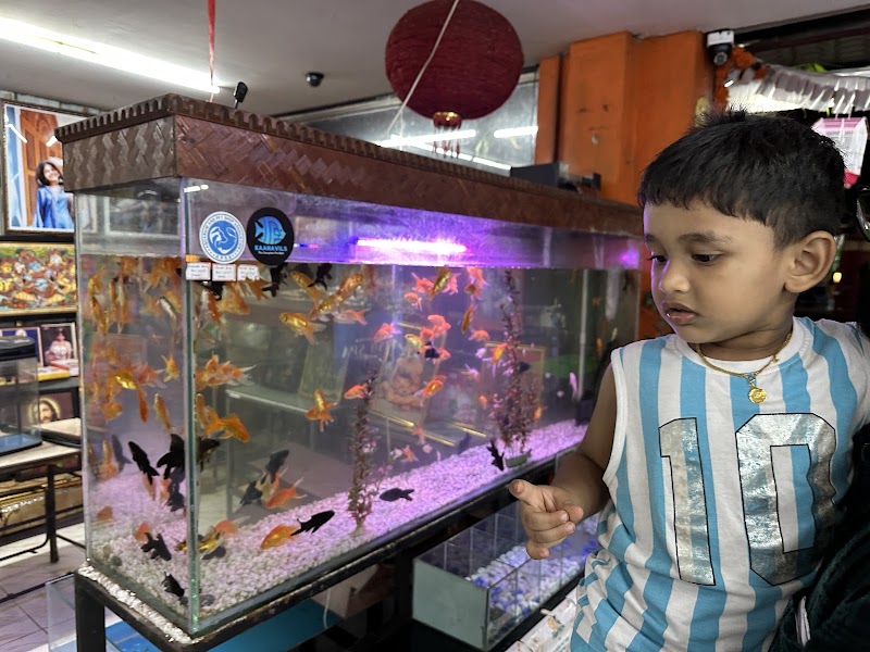 KAANAVILS — Photo 2