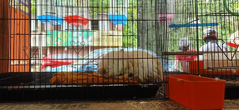 KAANAVILS — Photo 3