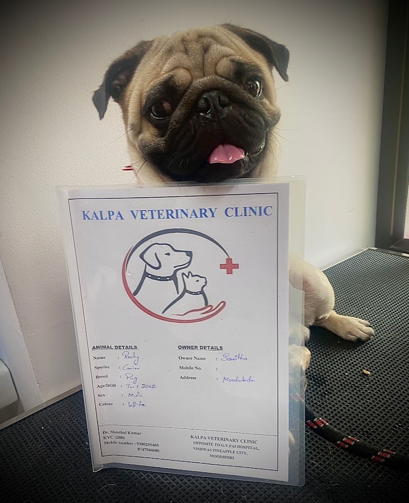 Kalpa Veterinary Clinic — Photo 2