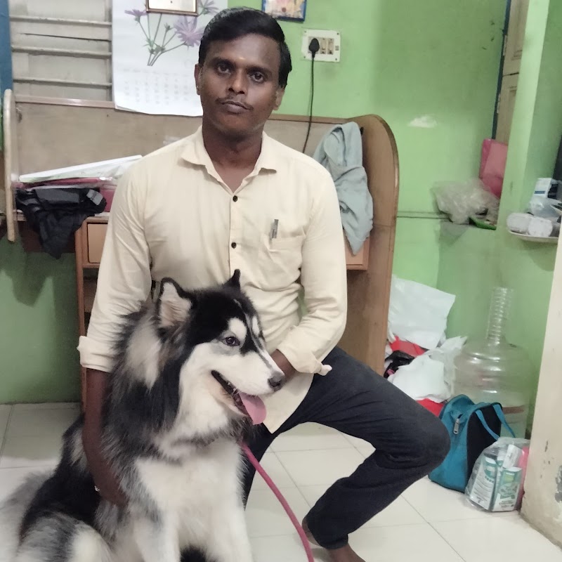 Kamal Pets Paradise - Pet Grooming for Dogs & Cats | Dog Salon & Spa Anna Nagar | Boarding & Day Care