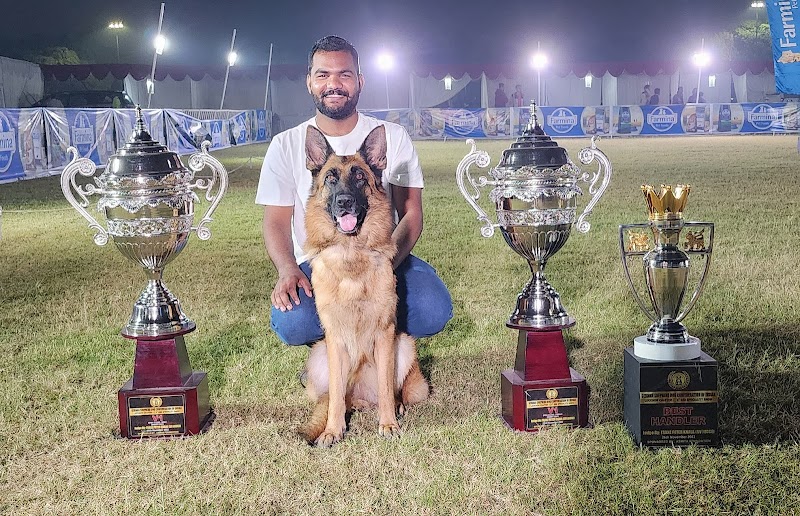 Kennel Blackwolf — Photo 2