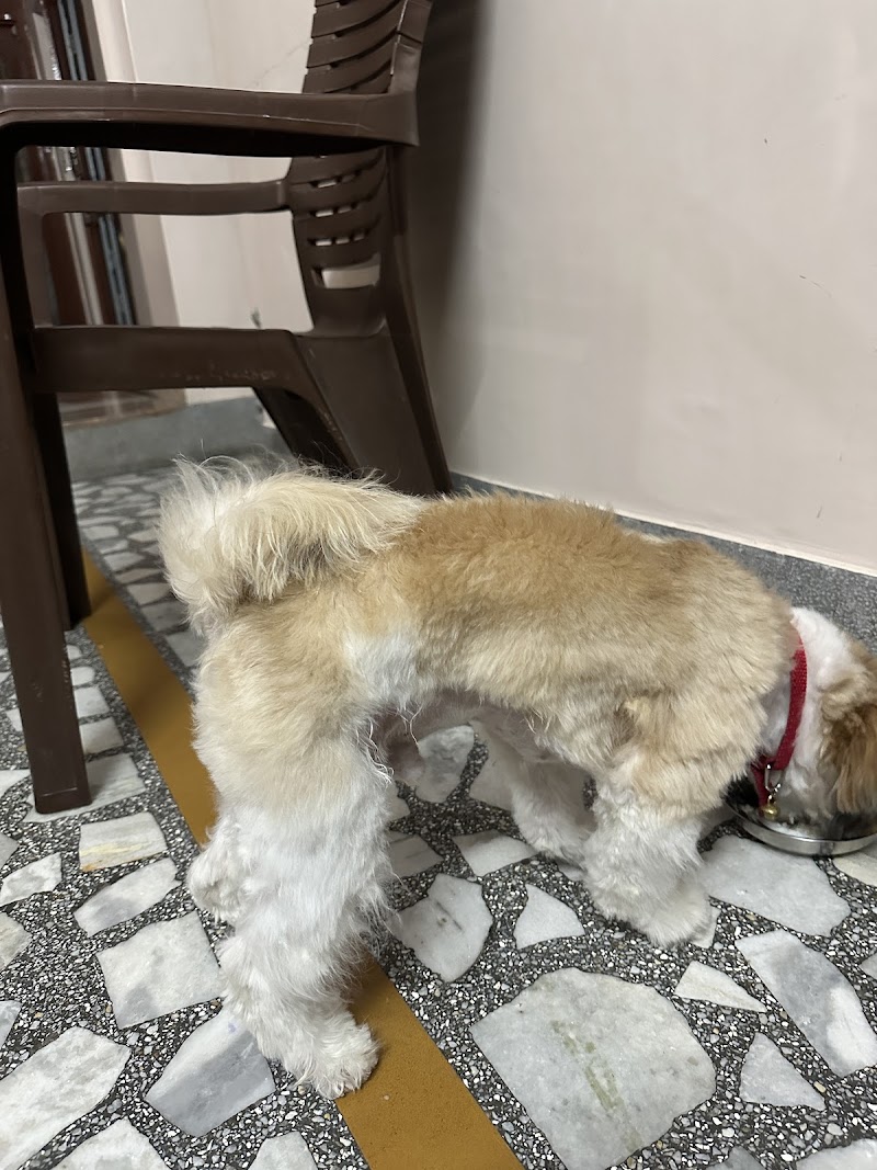 KEYSTONE — Photo 3