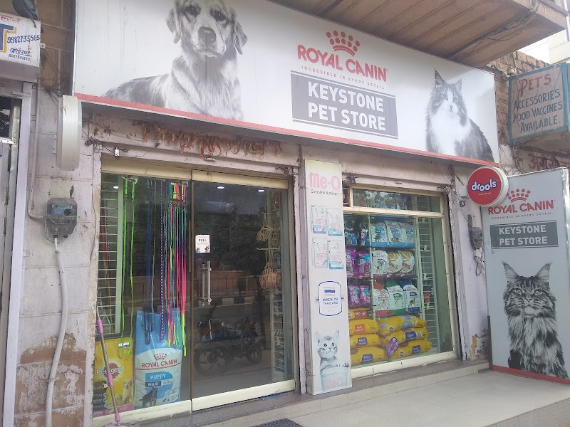 KEYSTONE — Photo 4