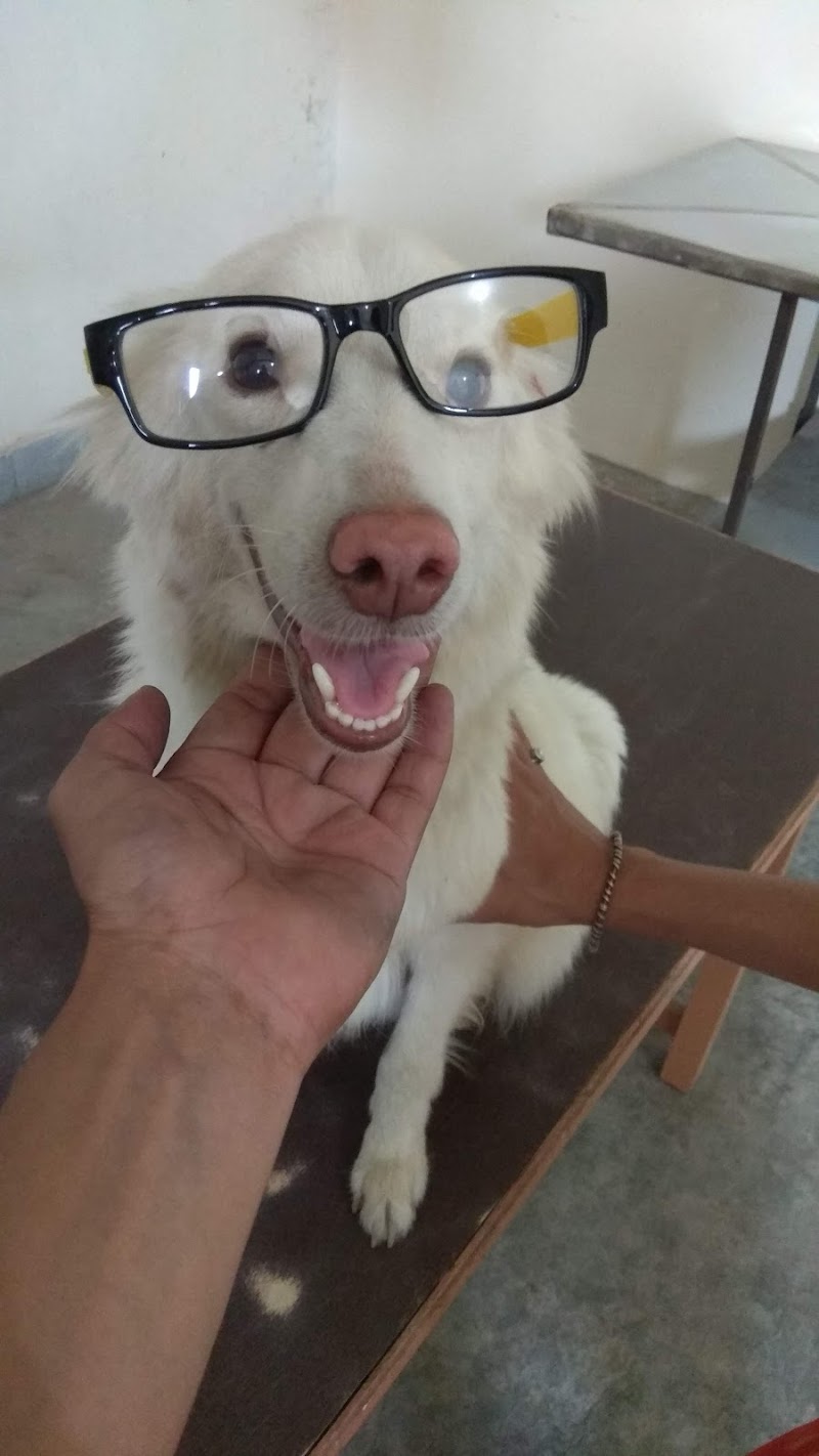 Khalsa college of veterinary Clinic Complex