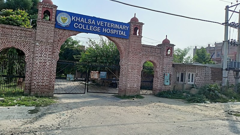 Khalsa veterinary college Hospital — Photo 1