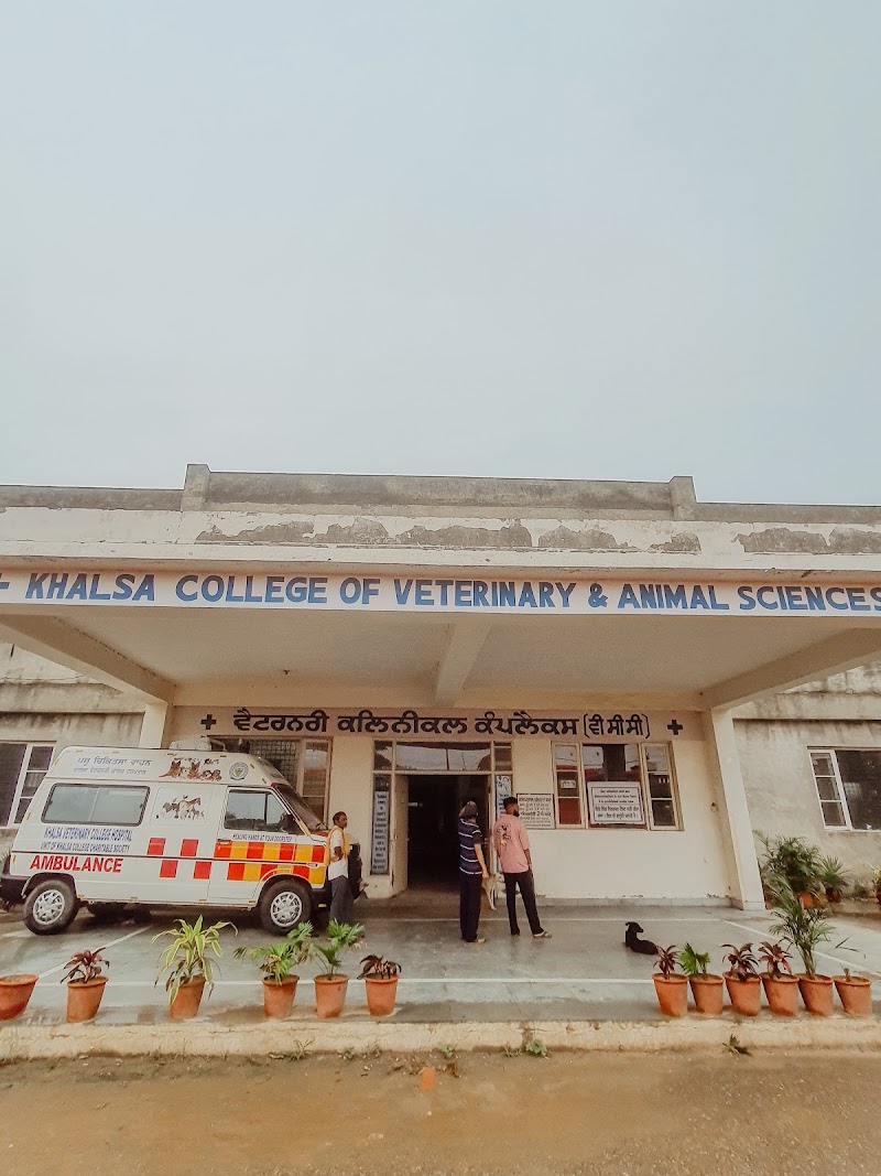 Khalsa veterinary college Hospital — Photo 2