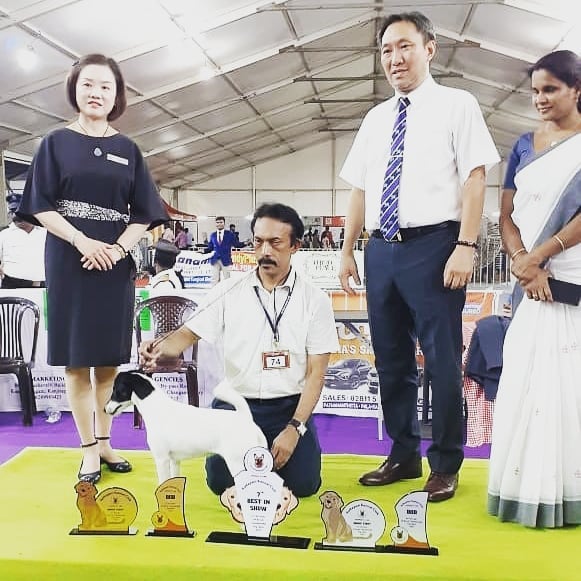 Kottayam Kennel Club — Photo 3