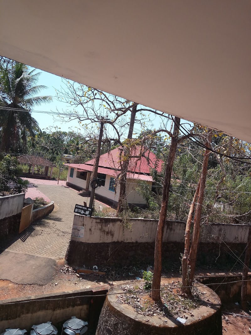 Kozha Veterinary Hospital — Photo 4