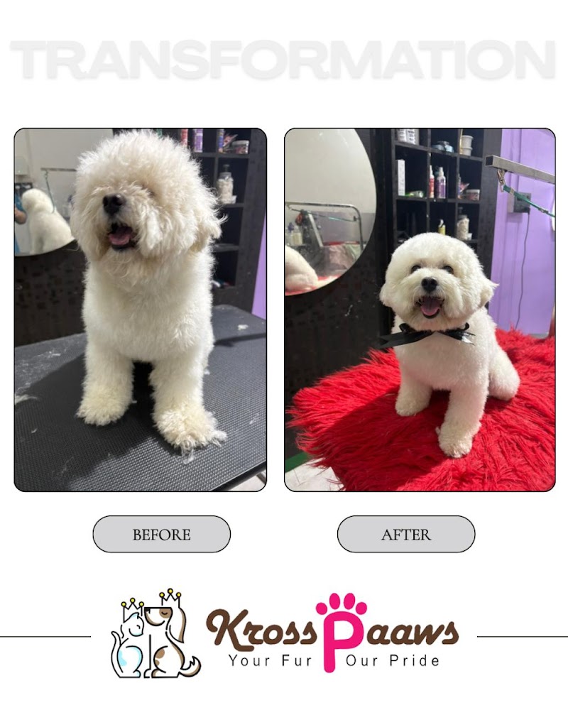 Kross Paaws - Pet Grooming Salon & Pet Care — Photo 2