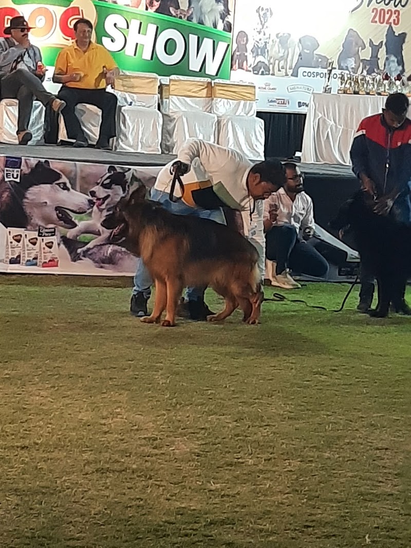 Kukku Dog Kennel Indore — Photo 3