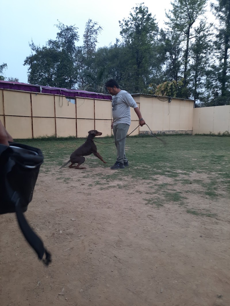 Kukku Dog Kennel Indore — Photo 4