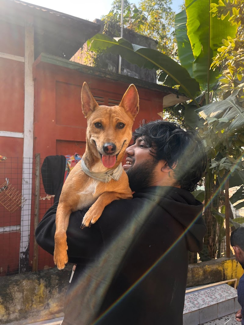 Kukus Paws & Claws — Photo 2