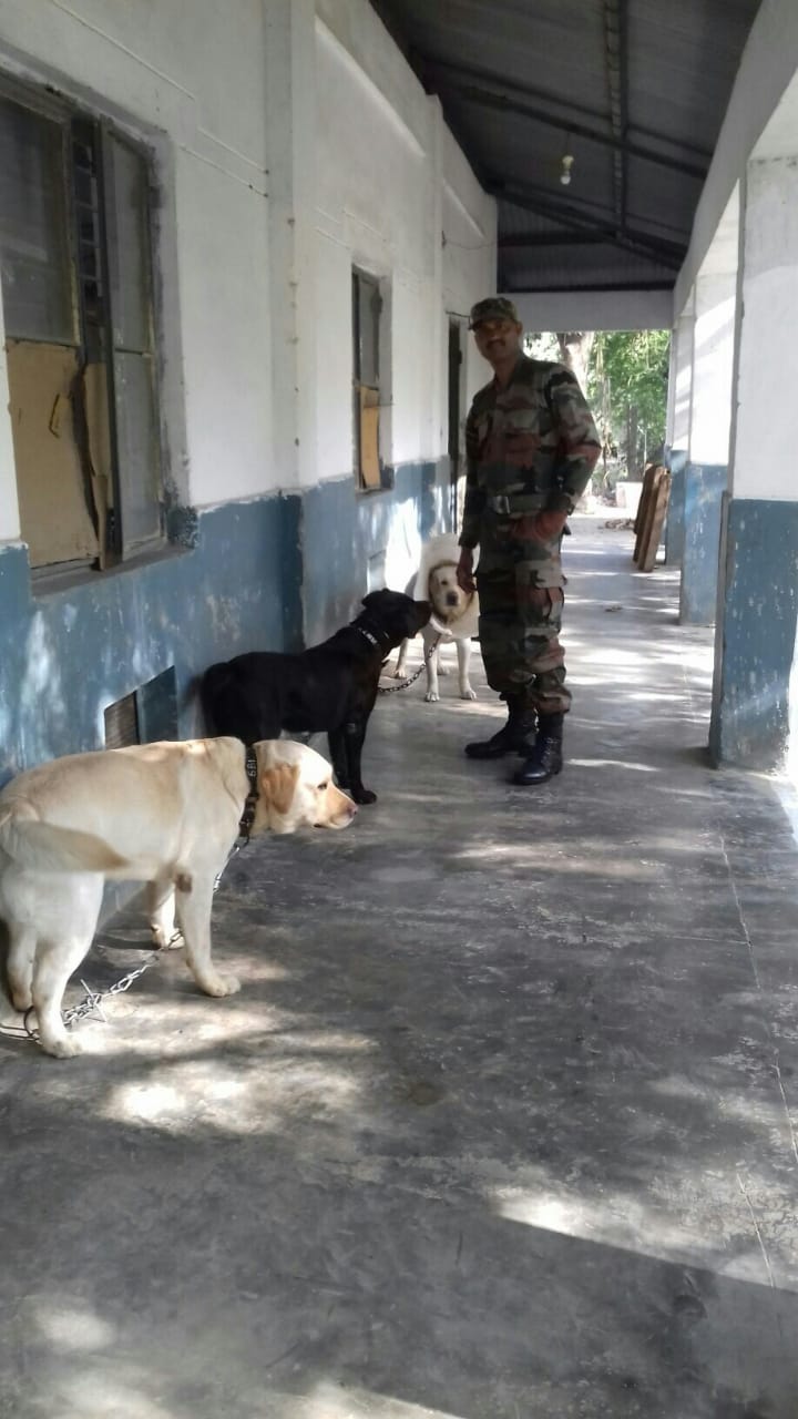 KUMAR( EX-ARMY dog trainer) — Photo 3