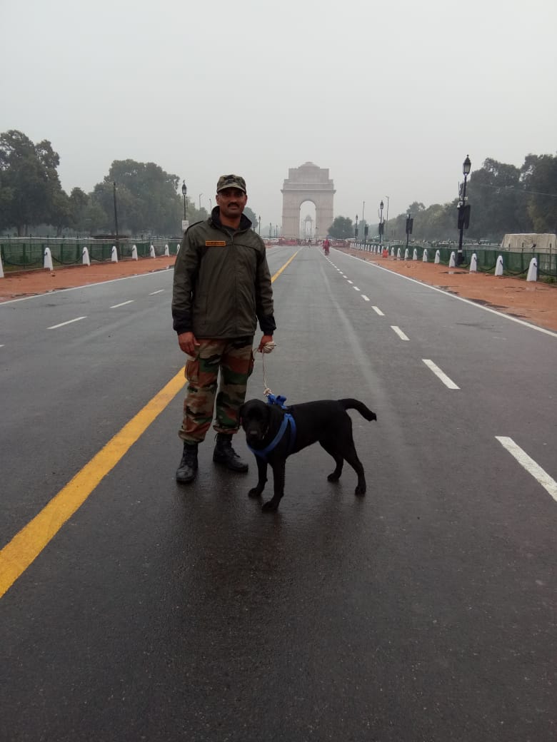 KUMAR( EX-ARMY dog trainer) — Photo 4