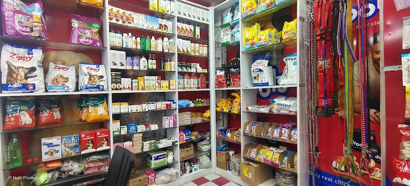 Kute Pets Chandmari — Photo 4