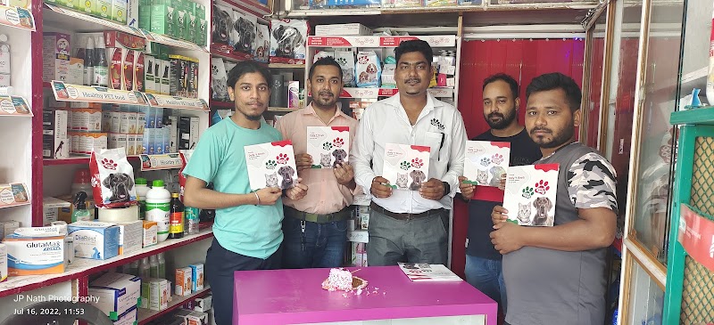 Kute Pets — Photo 2