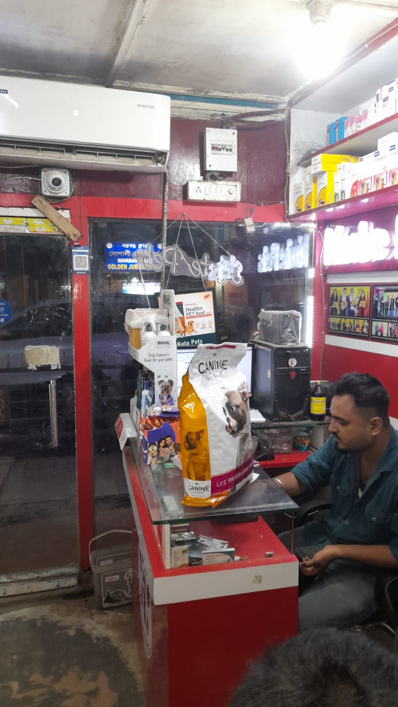 Kute Pets — Photo 3