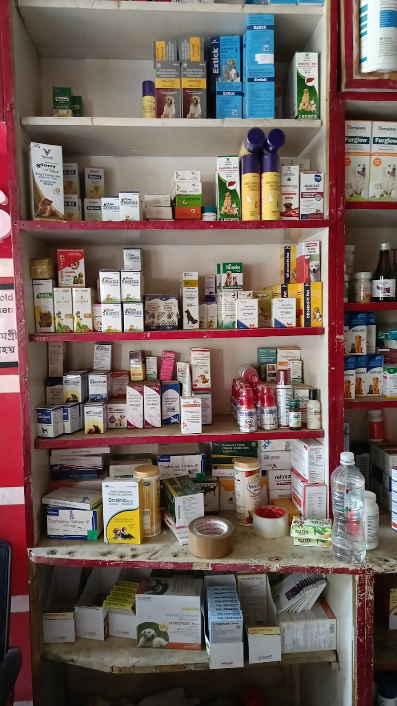 Kute Pets — Photo 4