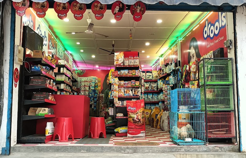 Kute Pets Kamakhya - Pet Shop | Grooming Parlour | Veterinary Clinic