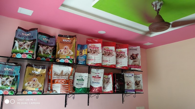 Leo The Doggie Shop — Photo 4